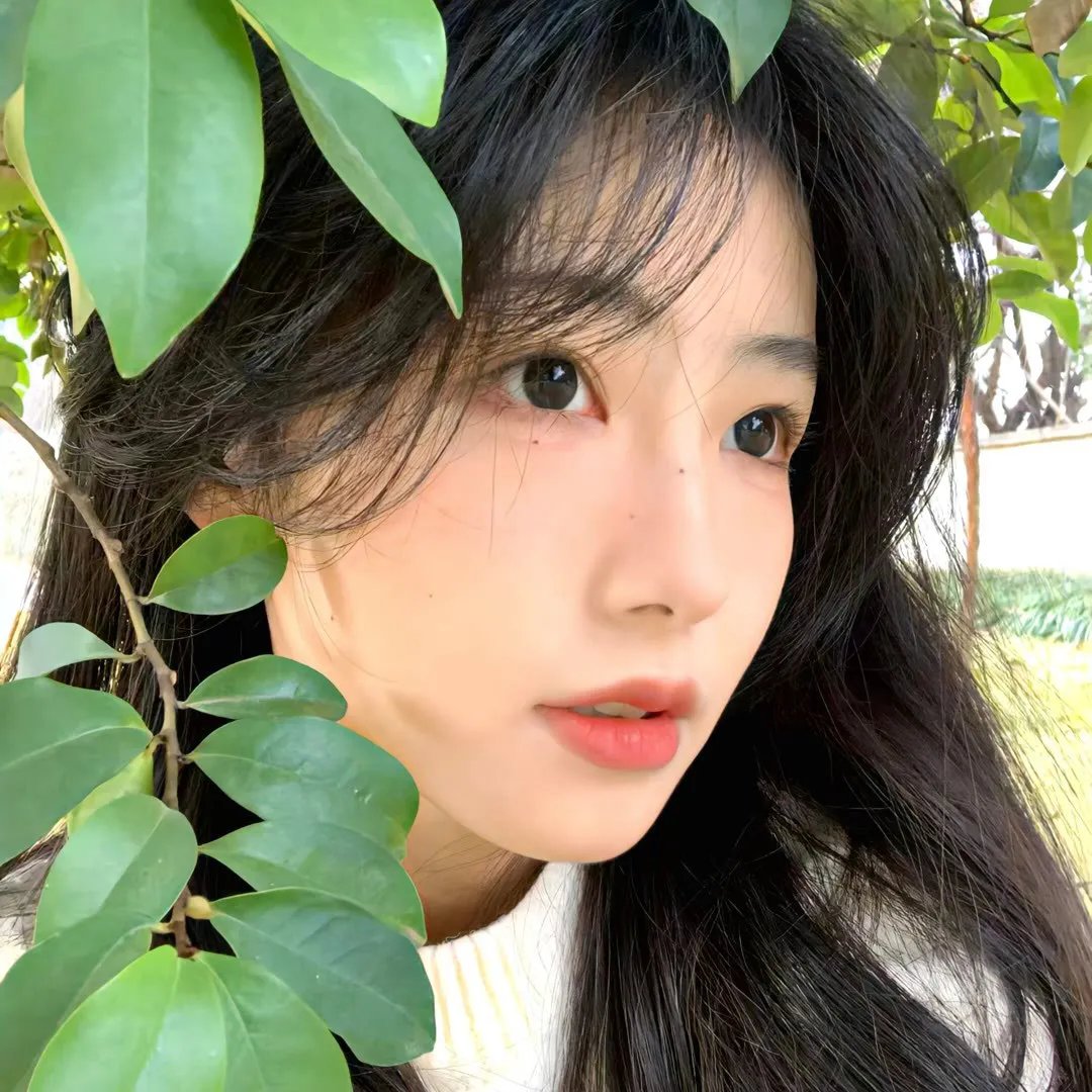 花楸故事